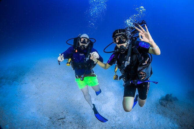 Discover Scuba Diving & Beach Club with Transportation In Riviera Maya - Who This 45-Minute Scuba Intro Fits (and Who Should Skip)
