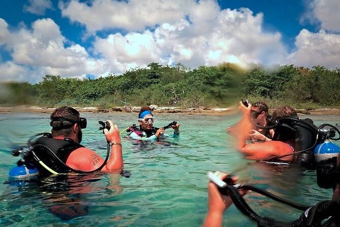 Discover Scuba Diving in Cozumel Paradise Reef - Second Underwater Session at Paradise Reef (About 45 to 60 Minutes)