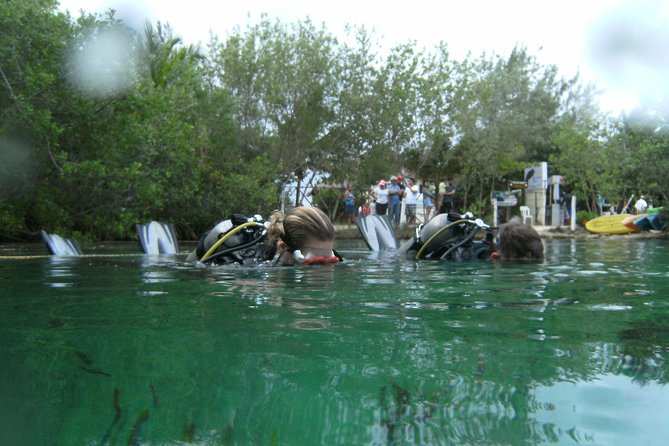 Discover Scuba Diving in Tulum - Casa Cenote: The Underwater Experience (30 to 40 Minutes)