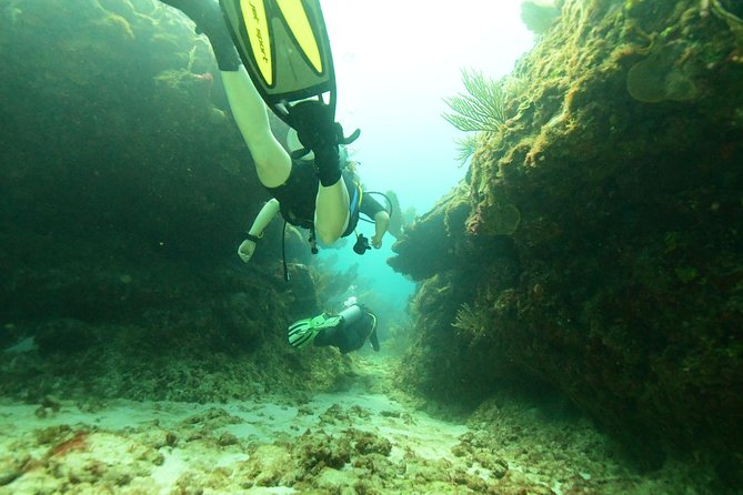 Discover Scuba Diving in Tulum - Guides Who Make or Break a First Experience