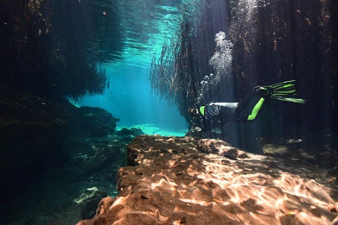 Discover Scuba Diving in Tulum - Value and Price: Is $140 Worth It?