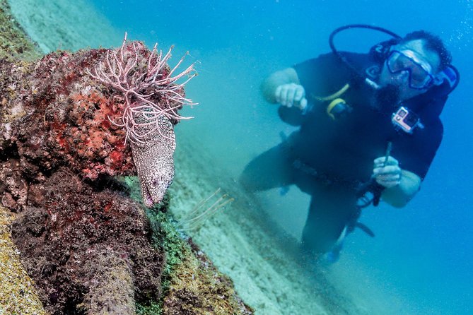 Discover Scuba experience at Las Caletas, Puerto Vallarta - Las Caletas for first-timers, not just another day at the beach