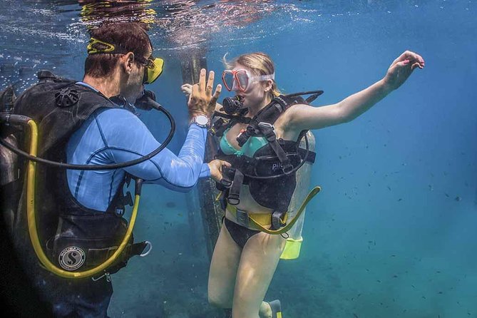 Discover Scuba experience at Las Caletas, Puerto Vallarta - What the underwater session is really like at Las Caletas