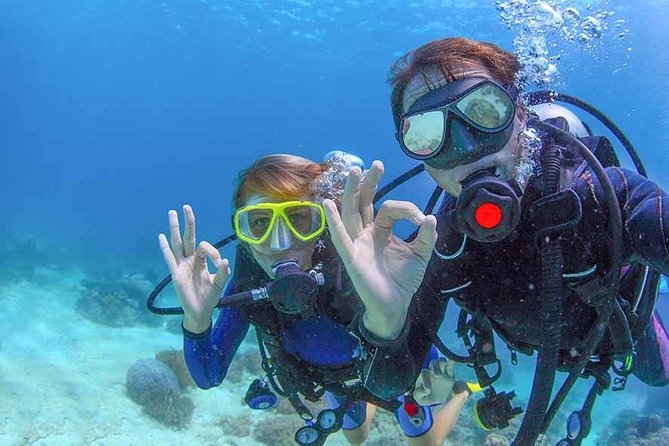 Discover Scuba experience at Las Caletas, Puerto Vallarta - Instruction style: how the PADI teaching helps you feel in control