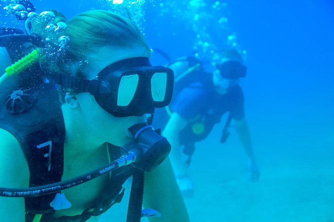 Discover Scuba experience at Las Caletas, Puerto Vallarta - Lunch and island time at Las Caletas, including how people use the wait