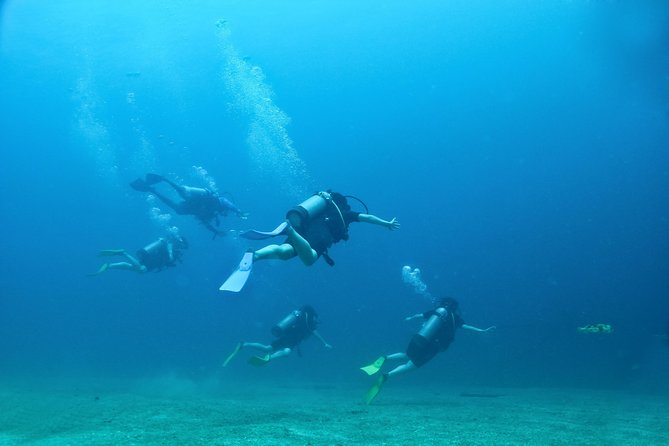 Discover Scuba experience at Las Caletas, Puerto Vallarta - Safety and rules that matter for your comfort (and your day staying on schedule)