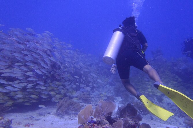 Discover Scuba - Stop 1 at the National Reef Park: learning in shallow water