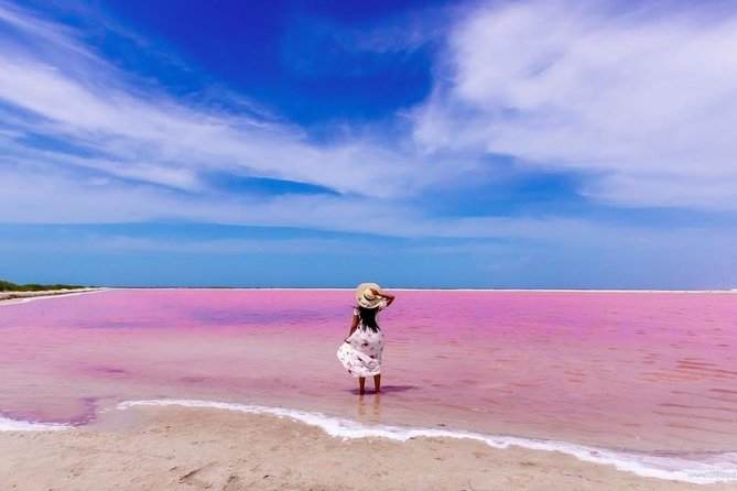 Discover the FABULOUS PINK WATERS at the Caribean (Las Coloradas+Río Lagartos) - Why Las Coloradas turns pink, and when it may look less pink