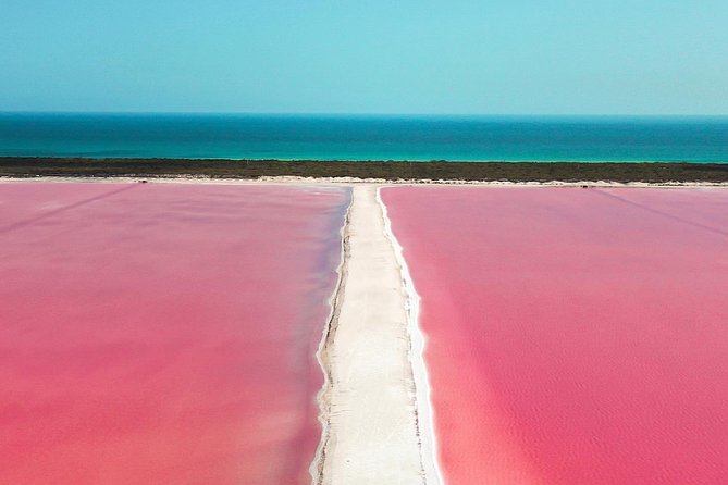 Discover the FABULOUS PINK WATERS in the Caribean - The Crocodile Farm Stop: Fun for Some, a Moral Question for Others