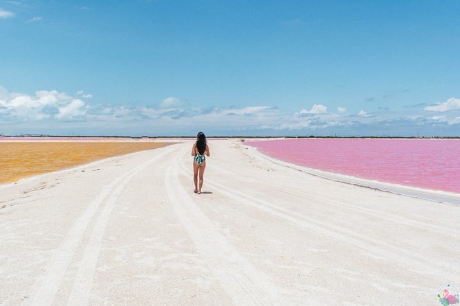 Discover the FABULOUS PINK WATERS in the Caribean - Lunch and Break Time: Included Food, Vegetarian Options, and Realistic Expectations