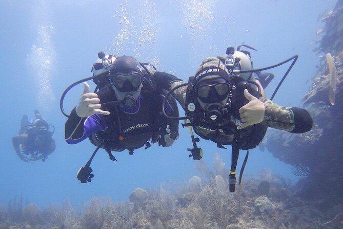 Discovery Scuba Dive. - The Reef Runs Up the Confidence, Without Feeling Like a Jump