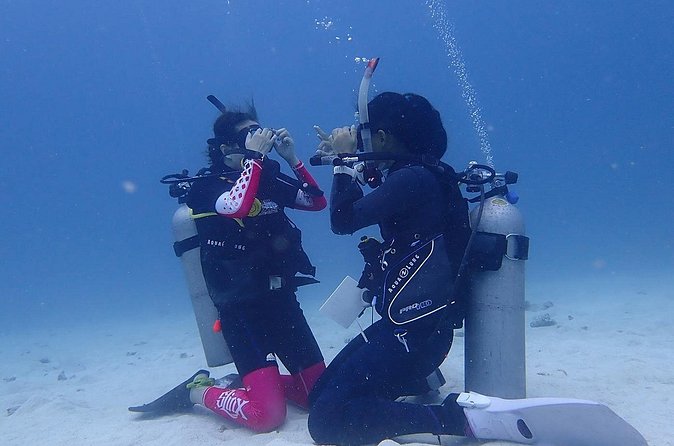 Discovery Scuba Dive. - What Your Guide Actually Does Underwater