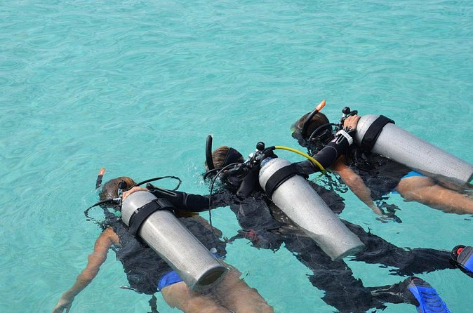 Discovery Scuba Dive. - The Experience Value: Why $100 Makes Sense for First-Timers