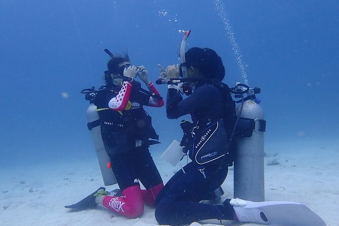 Discovery Scuba Dive. - What You’ll See: Coral and Tropical Fish at a First-Friendly Depth