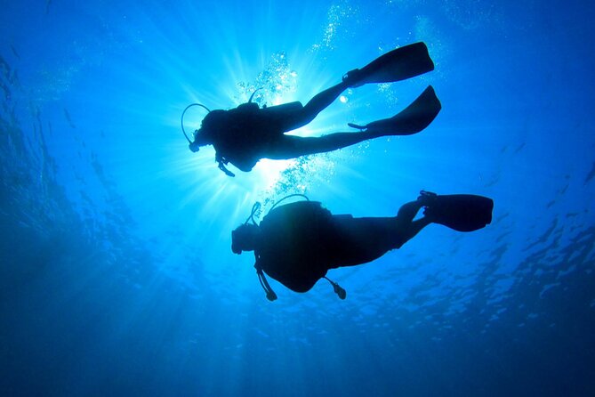 Discovery Scuba Dive. - The Step-by-Step Flow, From Theory to Shallow Water
