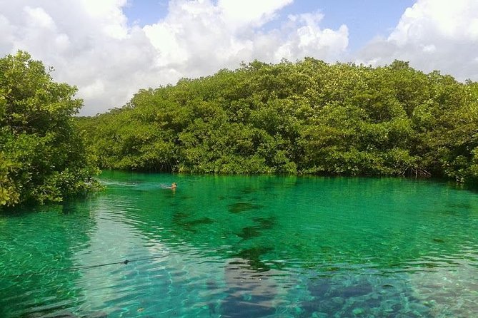 Discovery Scuba Diving - Small-group and private setup: why it feels different from big tours