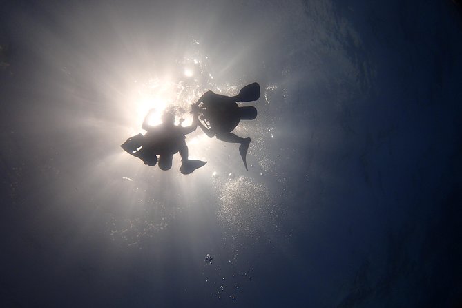Diving in the Mexican Caribbean for Beginners | 2 Tanks 2 Dives | All Inclusive - MUSA Underwater Museum: First Ocean Session at 33 ft (10 m)