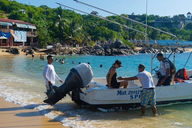 Dolphin Watching Tour - Ride comfort and safety: choppy water is the main reality check