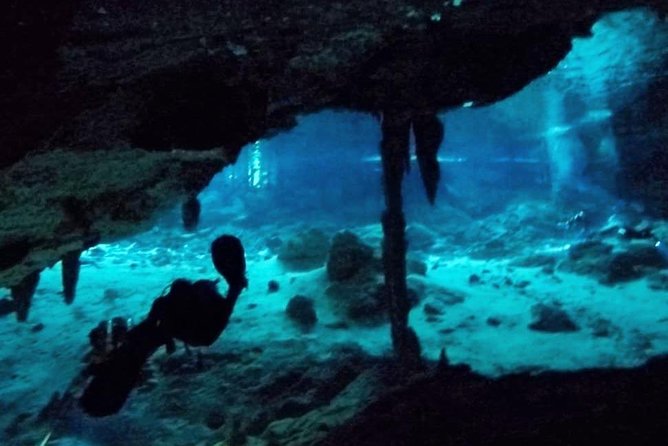 Dos Ojos Cenote Cavern Dive- The Barbie Line and The Bat Cave - Two Cenote Routes, One Small-Group Plan at Dos Ojos