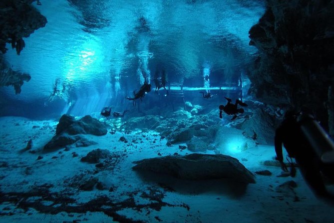Dos Ojos Cenote Cavern Dive- The Barbie Line and The Bat Cave - Meeting Point in Tulum Centro: Getting There Without Stress