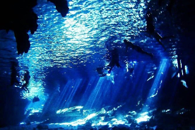 Dos Ojos Cenote Cavern Dive- The Barbie Line and The Bat Cave - Depth Limit and the Cavern vs Cave Difference