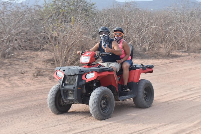 Double ATV Migriño Beach & Desert - Cactus Country: Over 50 Species and That 500-Year-Old Moment