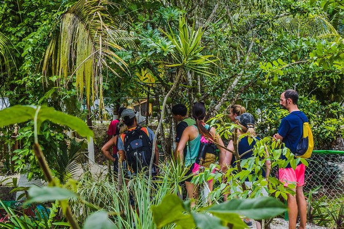 E-Bike Adventure in Cozumel - West Side Ride N' Snorkel - Stop 1, Beach Bum Cozumel: orientation and a quick start