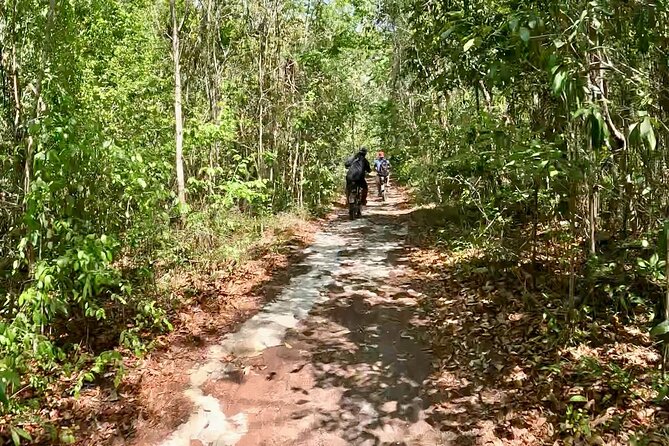 E-bike cenote jungle city tour in Playa del Carmen - Price and Value: Does $101.50 Make Sense?