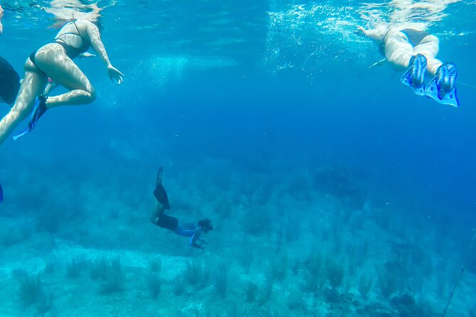 E-bike West Coast Snorkeling Tour - Skyreef Beach Club Snorkeling: Reef Views Plus Beach-Club Breather