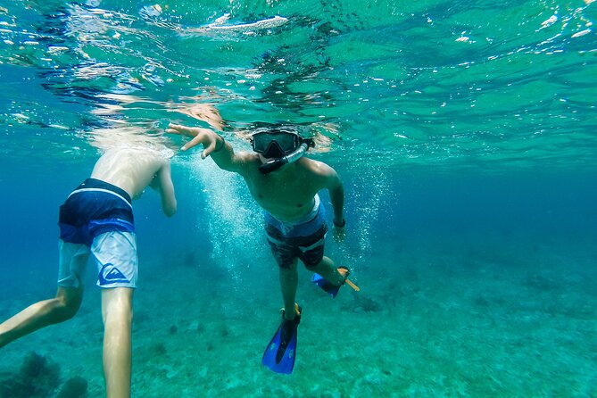 E-bike West Coast Snorkeling Tour - Guide Quality: The Difference Between a Tour and a Story
