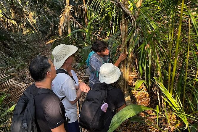 EcoHike to private beach, Jungle Walk to see plants & animals - Hitting the beach break: why that quiet stop is part of the value