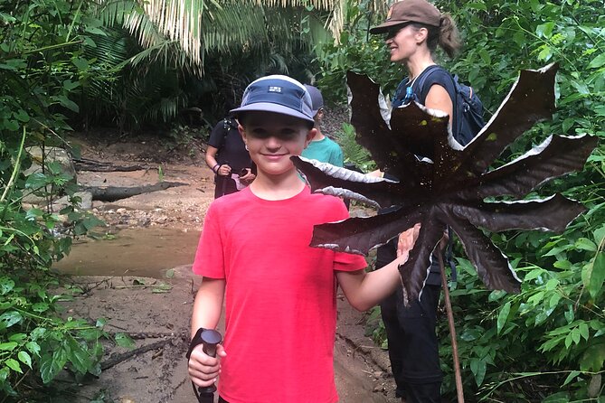 EcoHike to private beach, Jungle Walk to see plants & animals - What to wear and bring for a 3-hour jungle outing