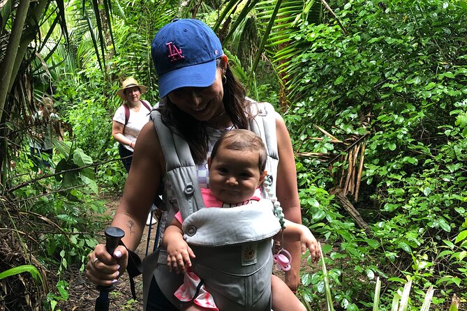 EcoHike to private beach, Jungle Walk to see plants & animals - Jungle walk stops: bird watching and plant spotting that actually sticks