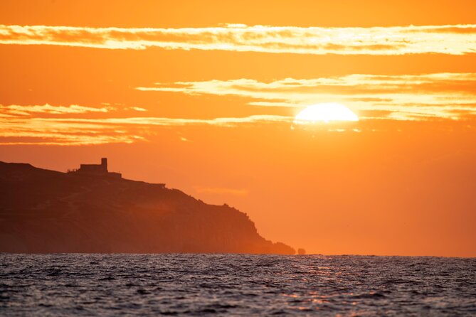 Educational Sunrise Whale Watching with Photos Included - The Value of a True Sunrise Whale Watch in Cabo San Lucas