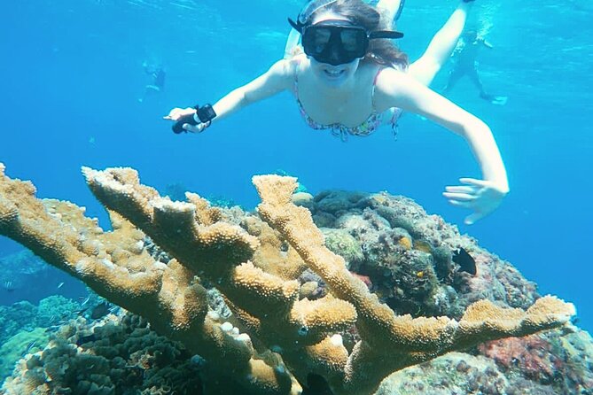 El Cielo Cozumel Snorkel Private Boat + Food + Drinks + Beach - Palancar Reef First Stop: Where Coral Comes First