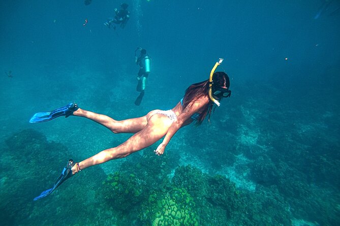 El Cielo Cozumel Snorkel Private Boat + Food + Drinks + Beach - Private Boat Value: When $450 Makes Sense