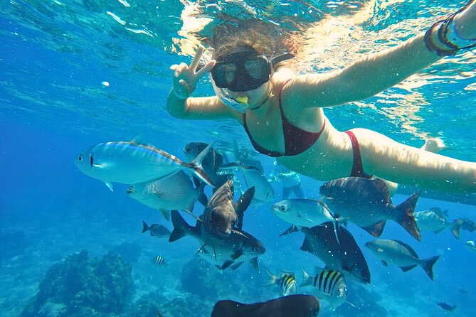 El Cielo Cozumel Snorkel Share Boat + Reefs + Food Drinks + Beach - Boat Ride Reality: Small-Group Pace and Fast Transfers