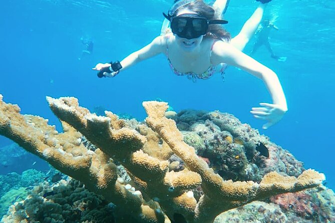 El Cielo Cozumel Snorkel Share Boat + Reefs + Food Drinks + Beach - Food and Drinks on the Water: When Snack Time Actually Works