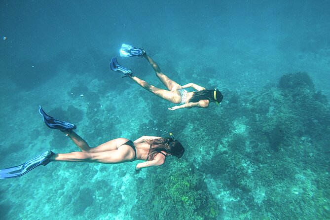 El Cielo Cozumel Snorkel Share Boat + Reefs + Food Drinks + Beach - Included Snorkeling Gear, Bathrooms, and What You Might Add
