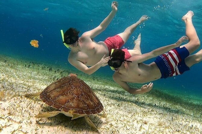 El Cielo Cozumel Snorkel tour by Catamaran - Key Things I’d Focus On Before You Go