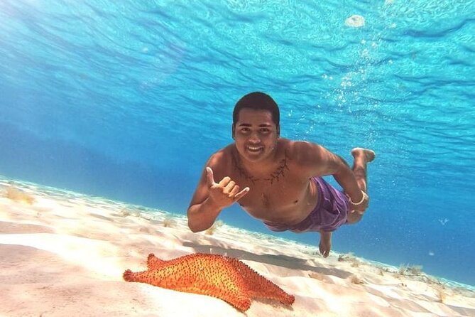 El Cielo Cozumel Snorkel tour by Catamaran - Marina Cozumel Meeting Point and the 4-Hour Flow