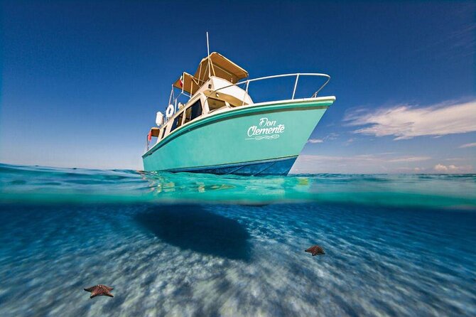 El Cielo Cozumel Snorkeling Tour - All-Inclusive - A small-group Cozumel snorkel day built around reef stops and El Cielo