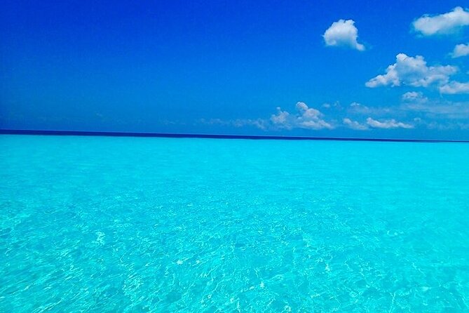 El Cielo Cozumel Snorkeling Tour - All-Inclusive - What to pack: sunscreen rules, sun protection, and comfort fixes