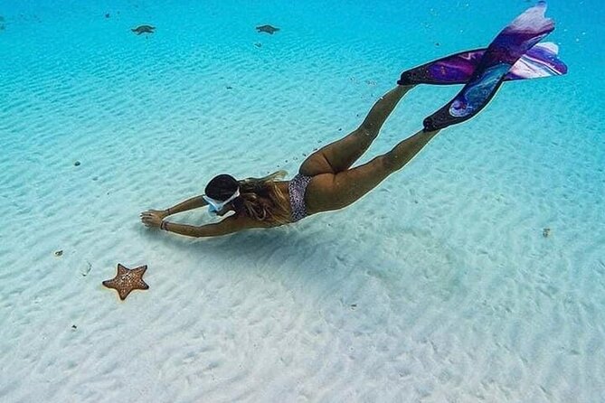 El Cielo Cozumel Snorkeling Tour - All-Inclusive - Crew quality: why the names you hear matter