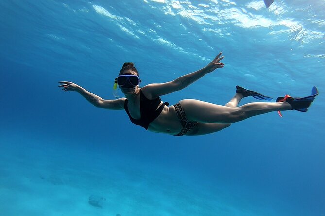 El Cielo Cozumel Snorkeling tour by Private Boat - Private Boat Snorkeling in Cozumel: Why this circuit works