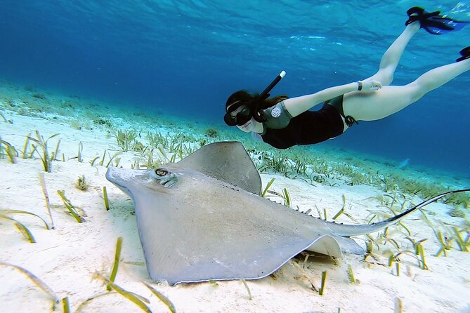 El Cielo Cozumel Snorkeling tour by Private Boat - Getting to Marina Cozumel ASIPONAC and staying on schedule