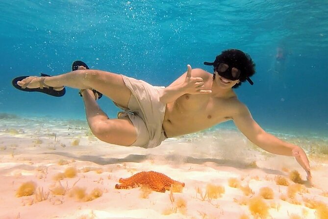El Cielo Cozumel Snorkeling tour by Private Boat - The 4-hour plan: El Cielo plus reef stops that change the vibe
