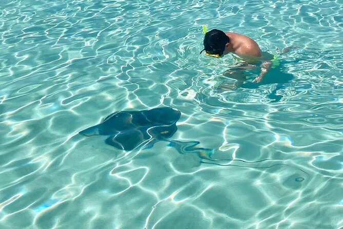 El Cielo Cozumel Snorkeling tour by Private Boat - Snorkeling in choppy water: comfort and motion sickness reality check