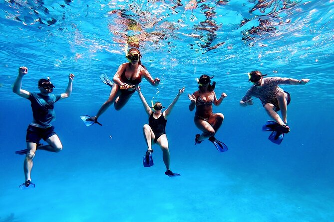 El Cielo Cozumel Snorkeling tour by Private Boat - Underwater photos: how the optional picture package turns into lasting memories