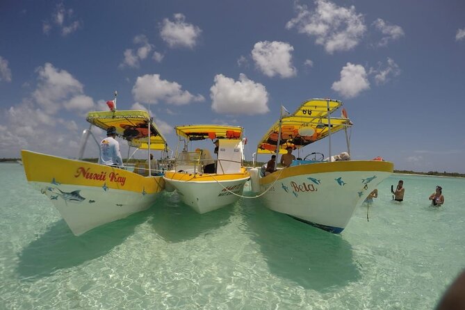 El Cielo Cozumel Snorkeling tour by Private Boat - Price and value: how $789 per group makes sense (and where it can sting)